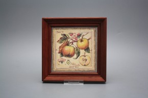 Obrázek 19,5x19,5cm Fruta cMHB