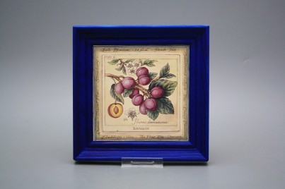 Obrázek 19,5x19,5cm Fruta cMOB č.1